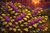 Texas beautyberry